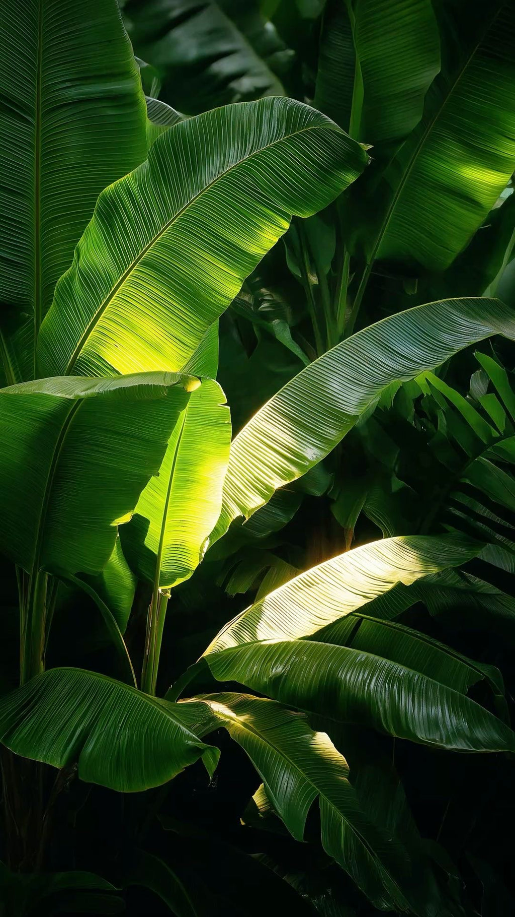 Green Whisper